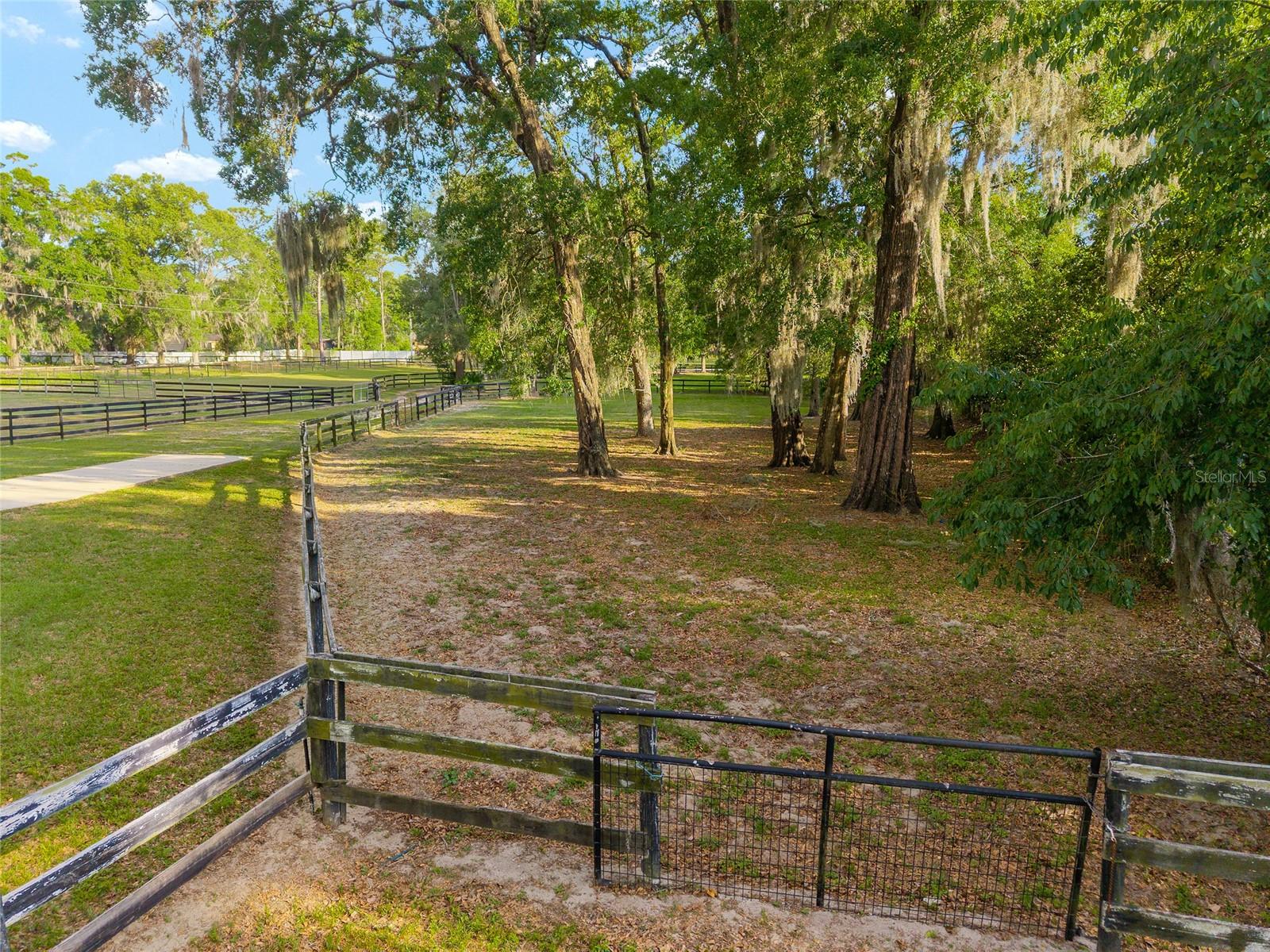 8117 SW 41ST PLACE RD, OCALA, FL, 34481
