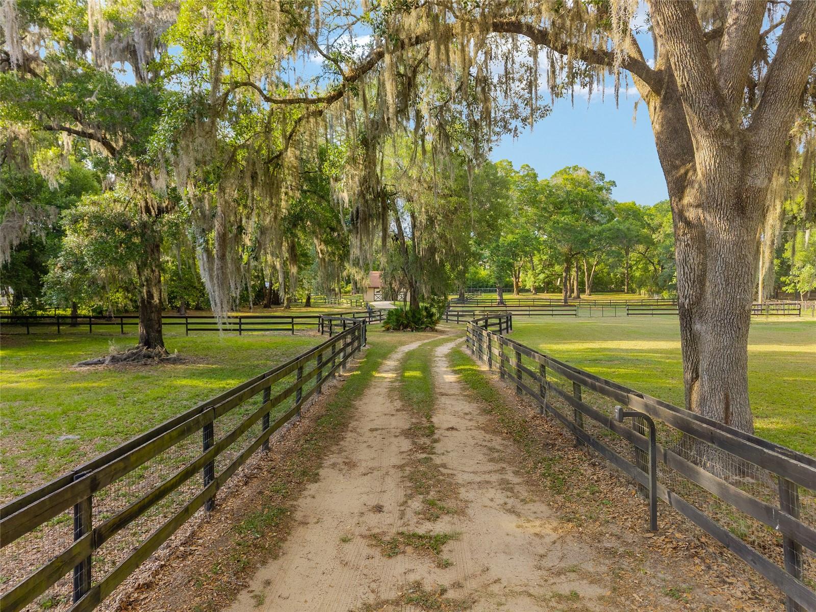 8117 SW 41ST PLACE RD, OCALA, FL, 34481