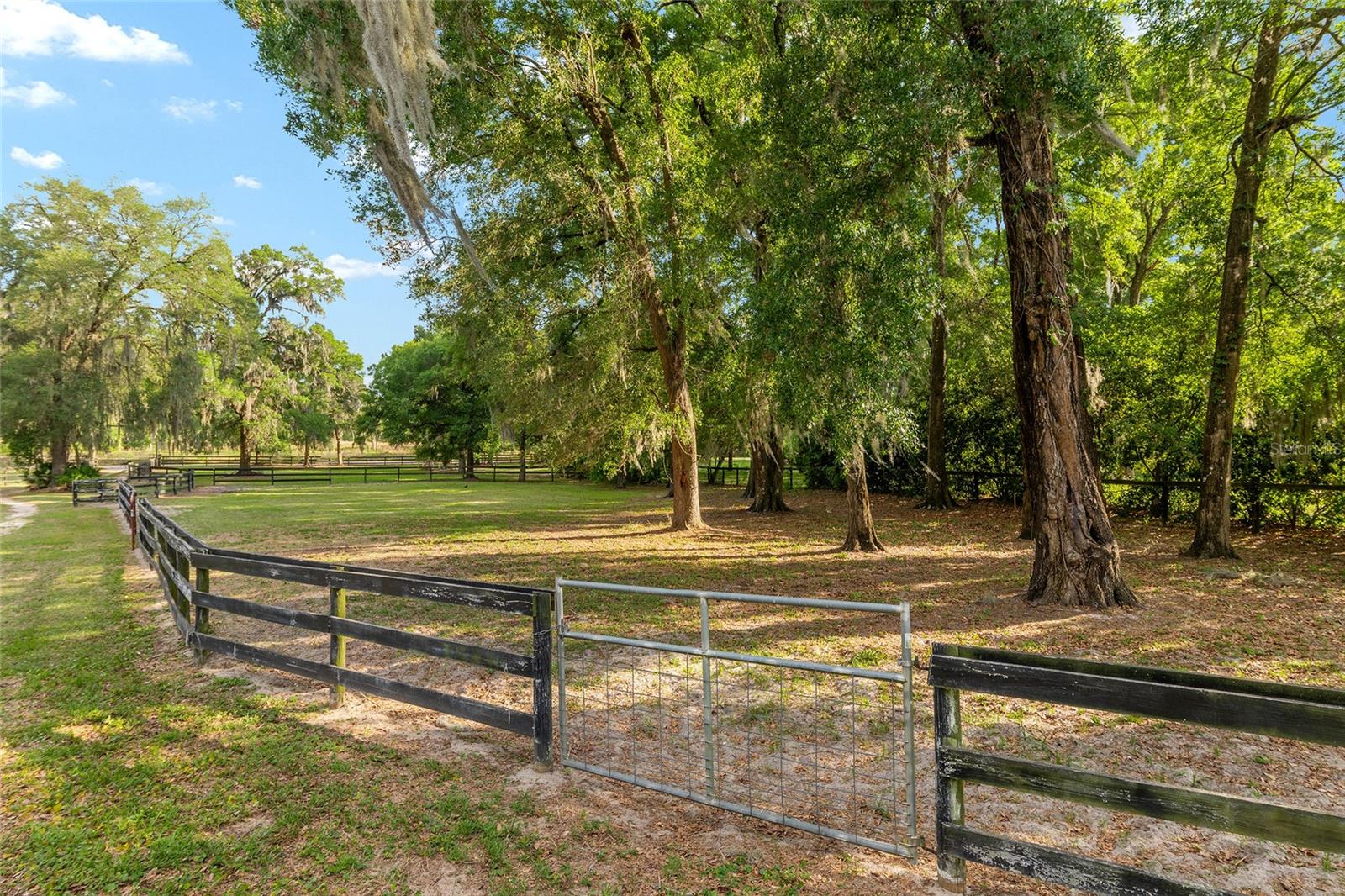 8117 SW 41ST PLACE RD, OCALA, FL, 34481