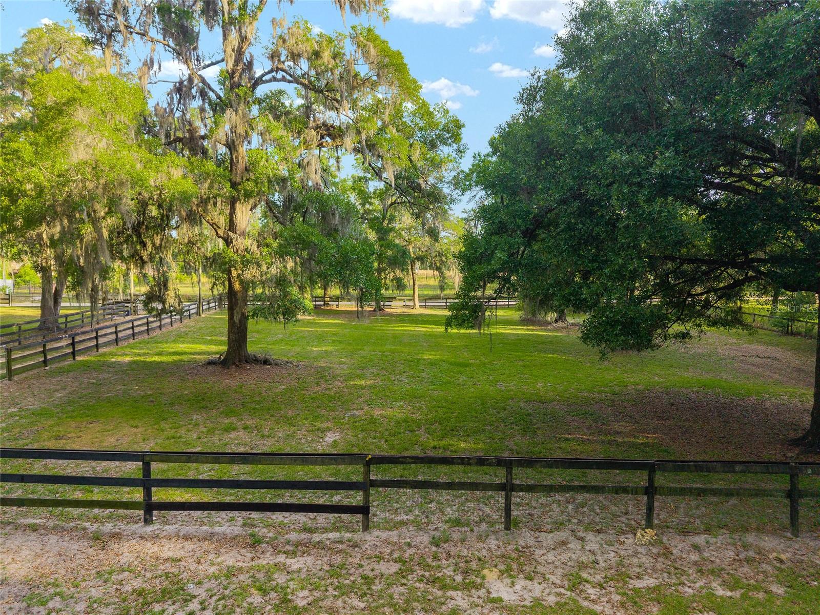 8117 SW 41ST PLACE RD, OCALA, FL, 34481