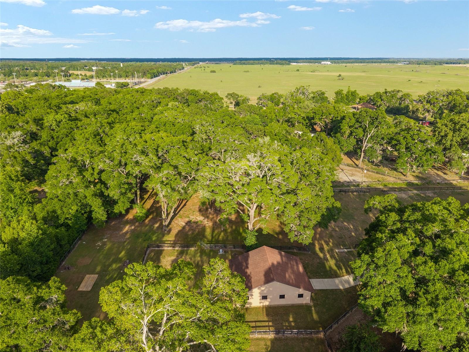 8117 SW 41ST PLACE RD, OCALA, FL, 34481