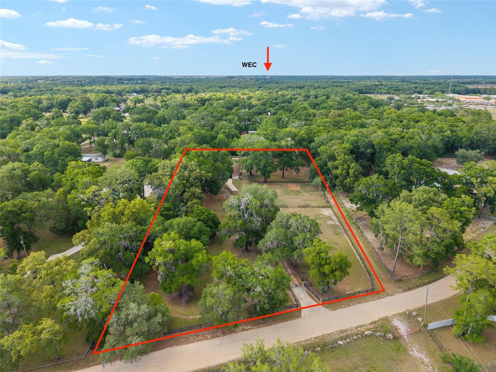 8117 SW 41ST PLACE RD, OCALA, FL, 34481