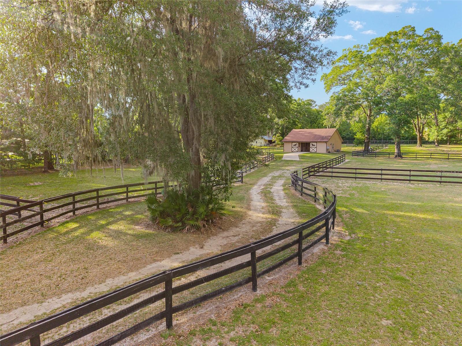 8117 SW 41ST PLACE RD, OCALA, FL, 34481