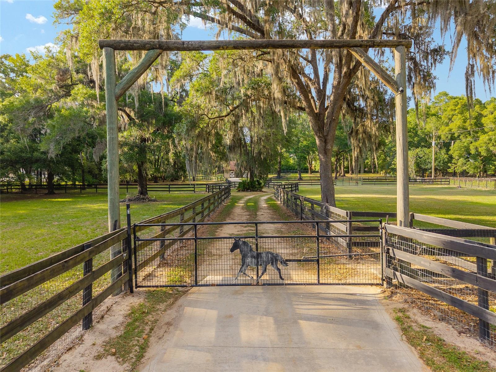 8117 SW 41ST PLACE RD, OCALA, FL, 34481