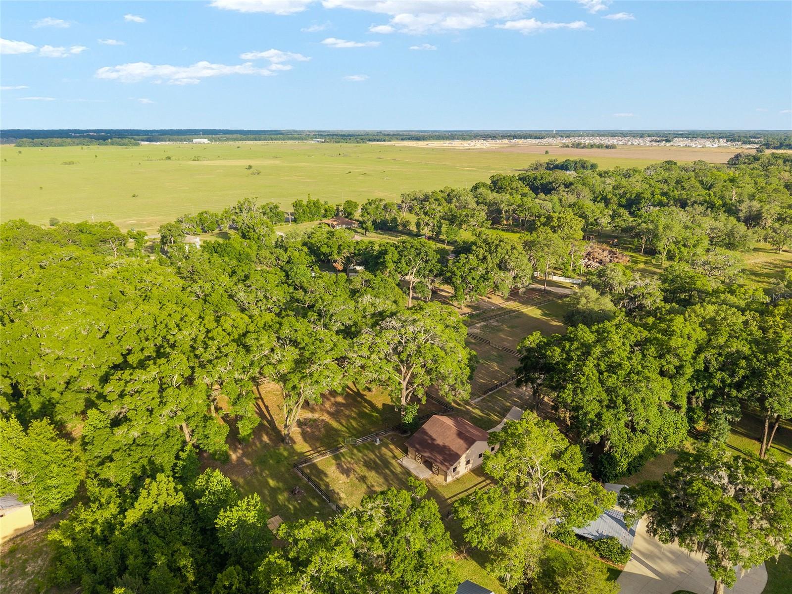 8117 SW 41ST PLACE RD, OCALA, FL, 34481