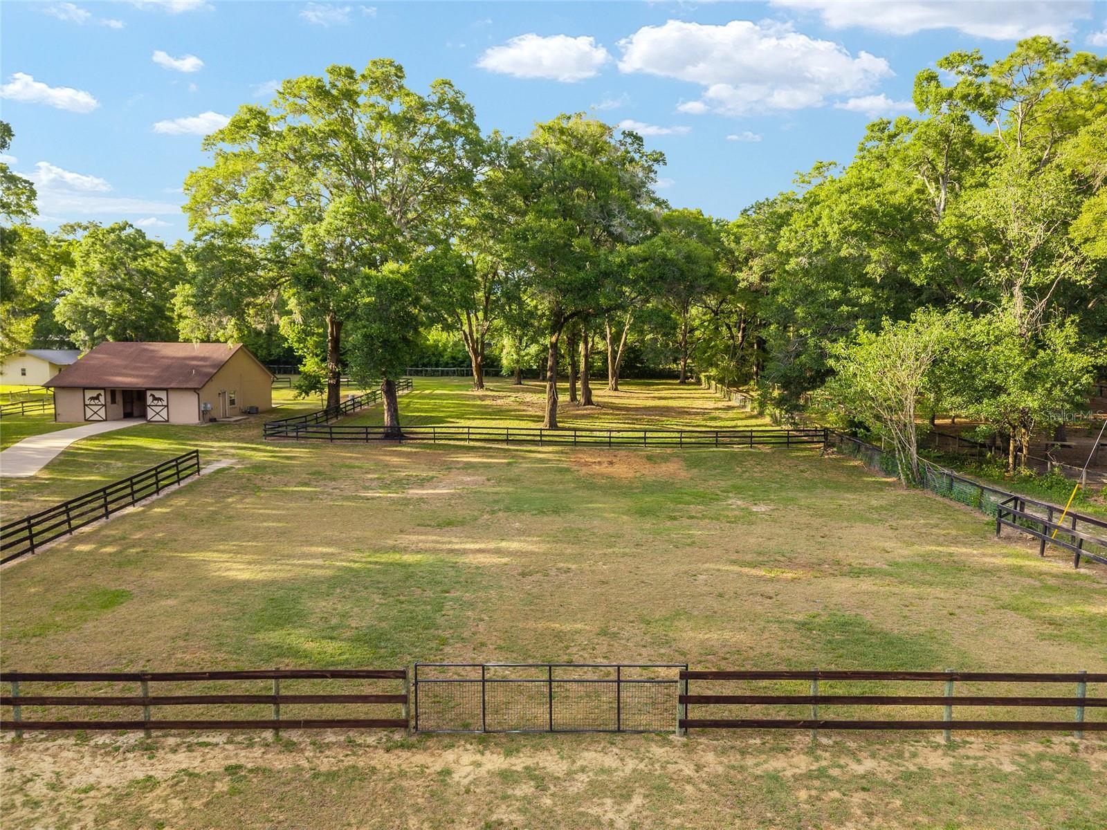 8117 SW 41ST PLACE RD, OCALA, FL, 34481