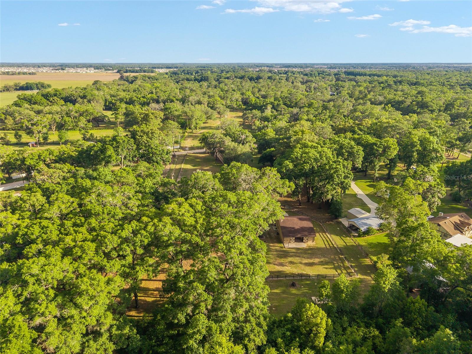 8117 SW 41ST PLACE RD, OCALA, FL, 34481