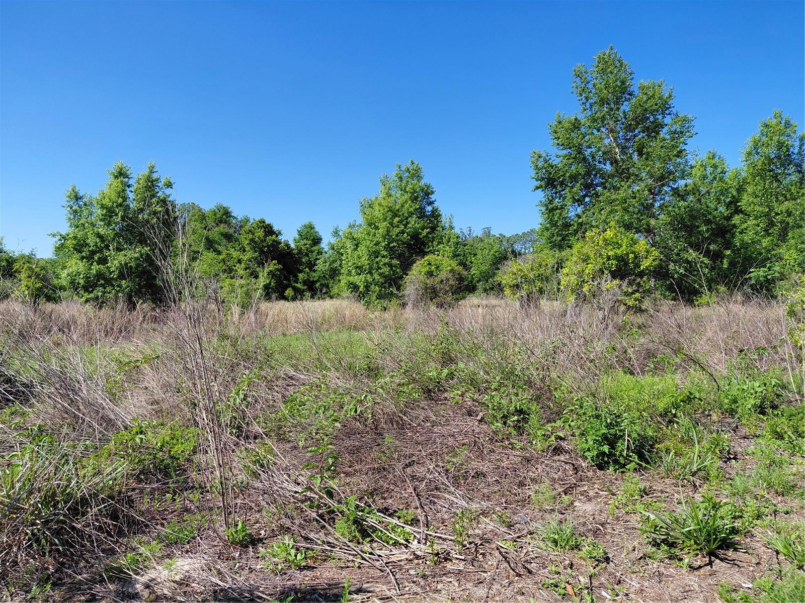 COFFEE CREEK LN, CLERMONT, FL, 34711