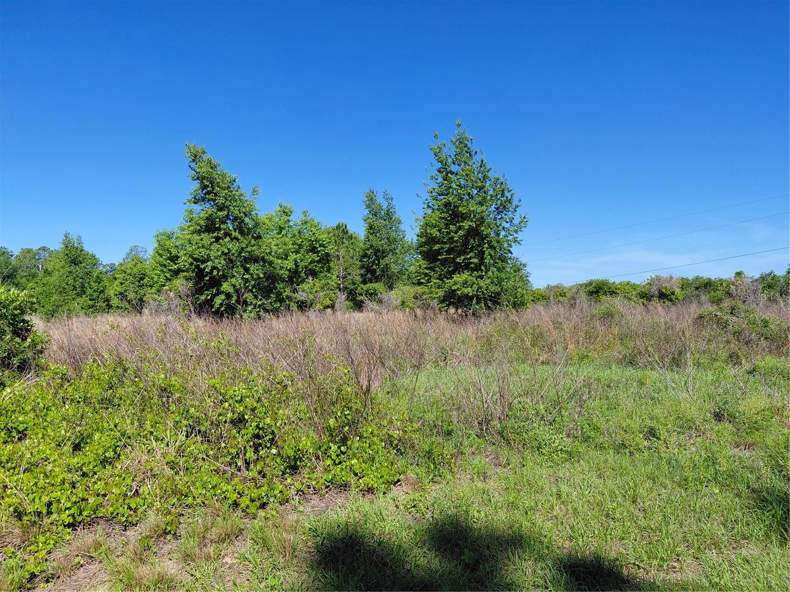 COFFEE CREEK LN, CLERMONT, FL, 34711