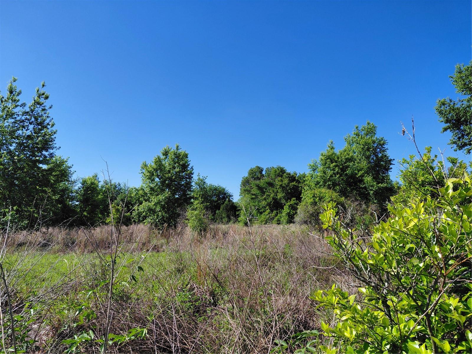 COFFEE CREEK LN, CLERMONT, FL, 34711