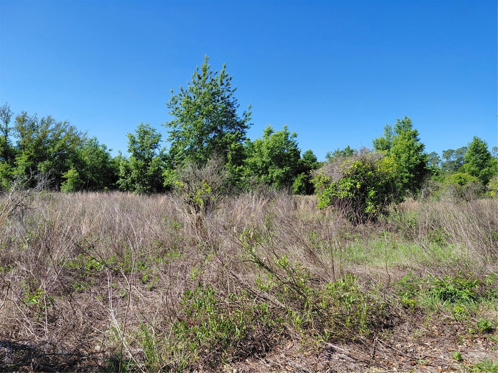 COFFEE CREEK LN, CLERMONT, FL, 34711