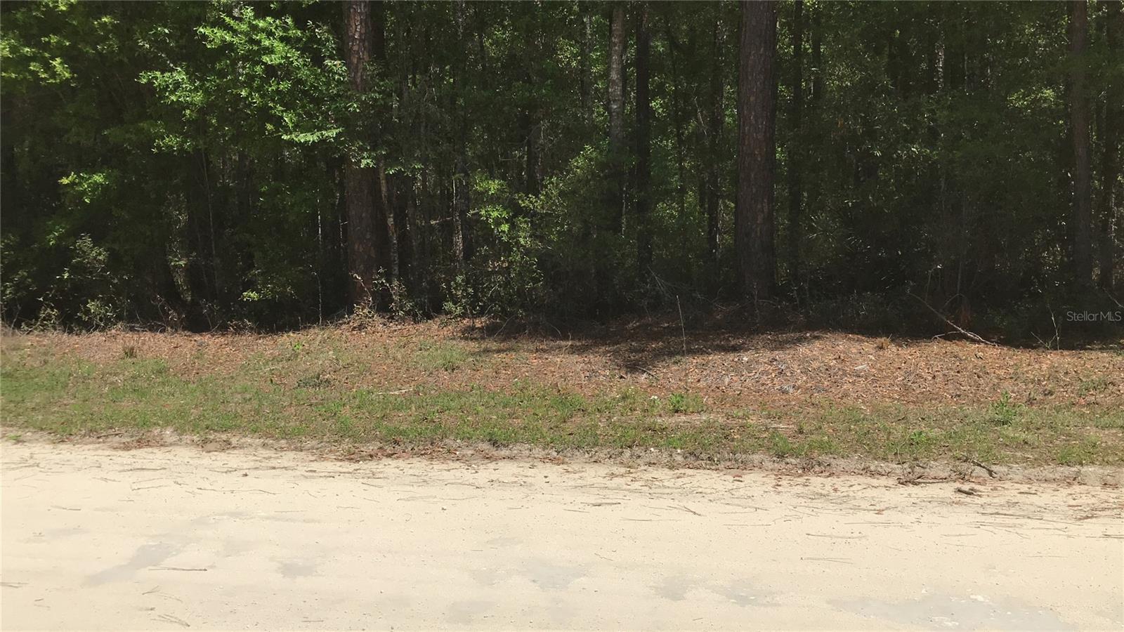 0 NE 133RD AVE, WILLISTON, FL, 32696