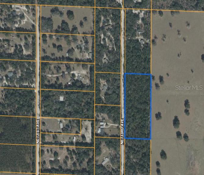 0 NE 133RD AVE, WILLISTON, FL, 32696