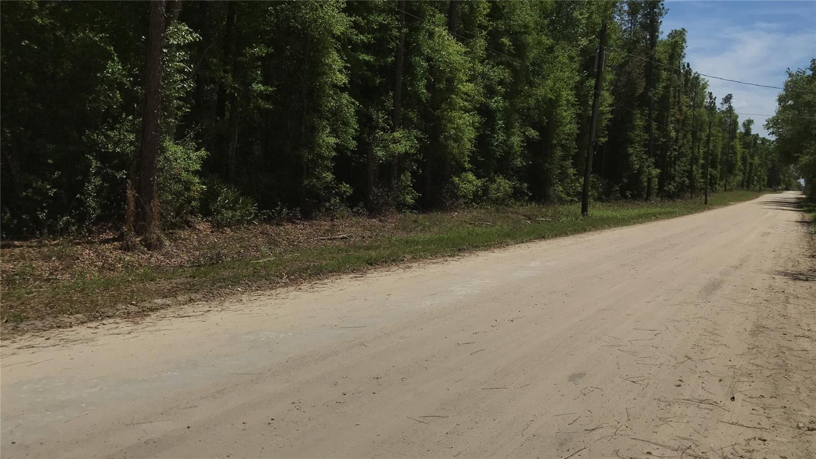 0 NE 133RD AVE, WILLISTON, FL, 32696