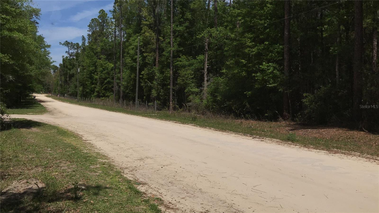 0 NE 133RD AVE, WILLISTON, FL, 32696