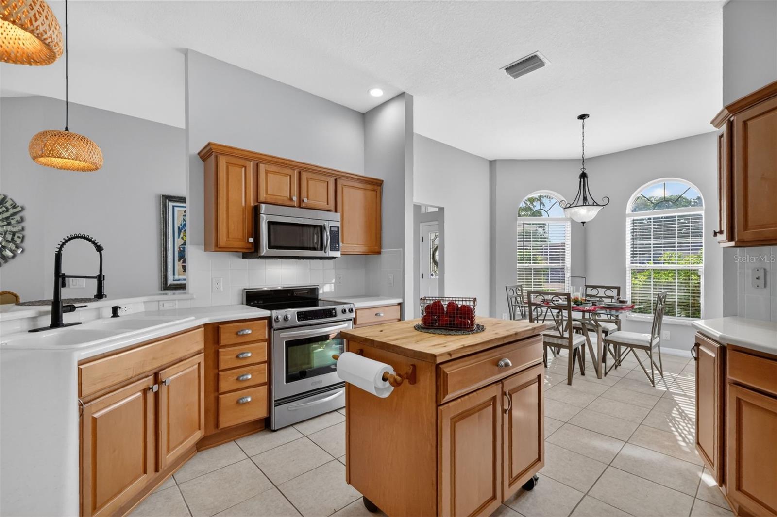 17325 SE 73RD PARK GLEN CT, THE VILLAGES, FL, 32162