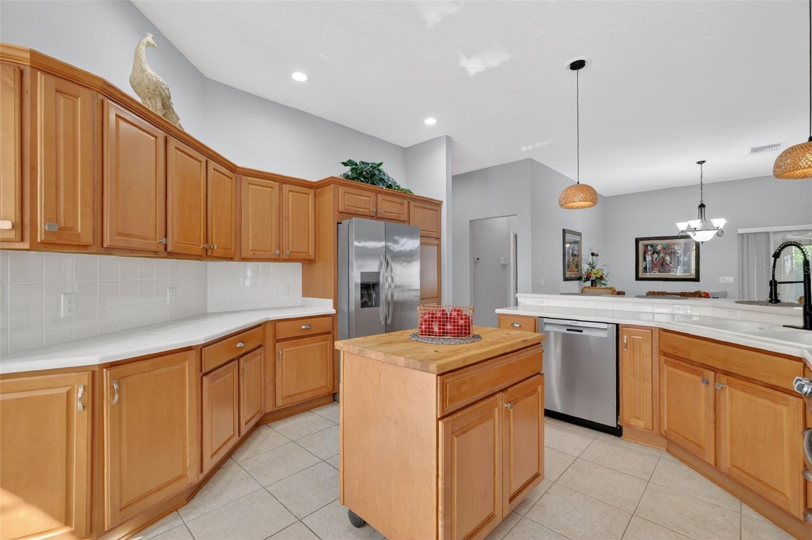 17325 SE 73RD PARK GLEN CT, THE VILLAGES, FL, 32162