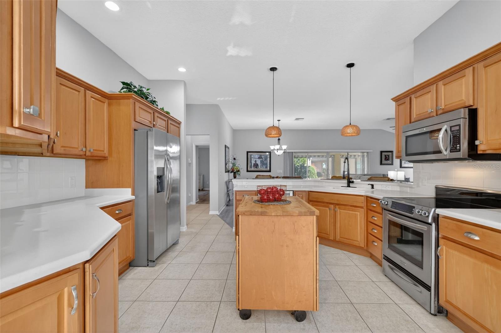 17325 SE 73RD PARK GLEN CT, THE VILLAGES, FL, 32162