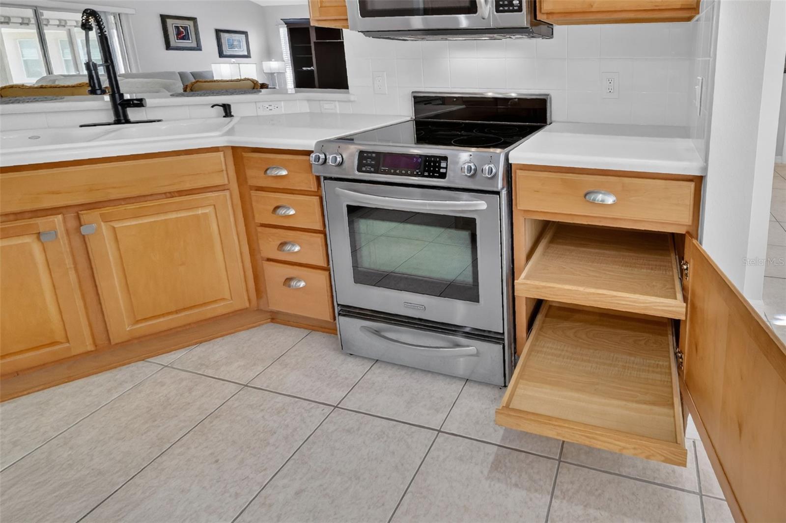 17325 SE 73RD PARK GLEN CT, THE VILLAGES, FL, 32162