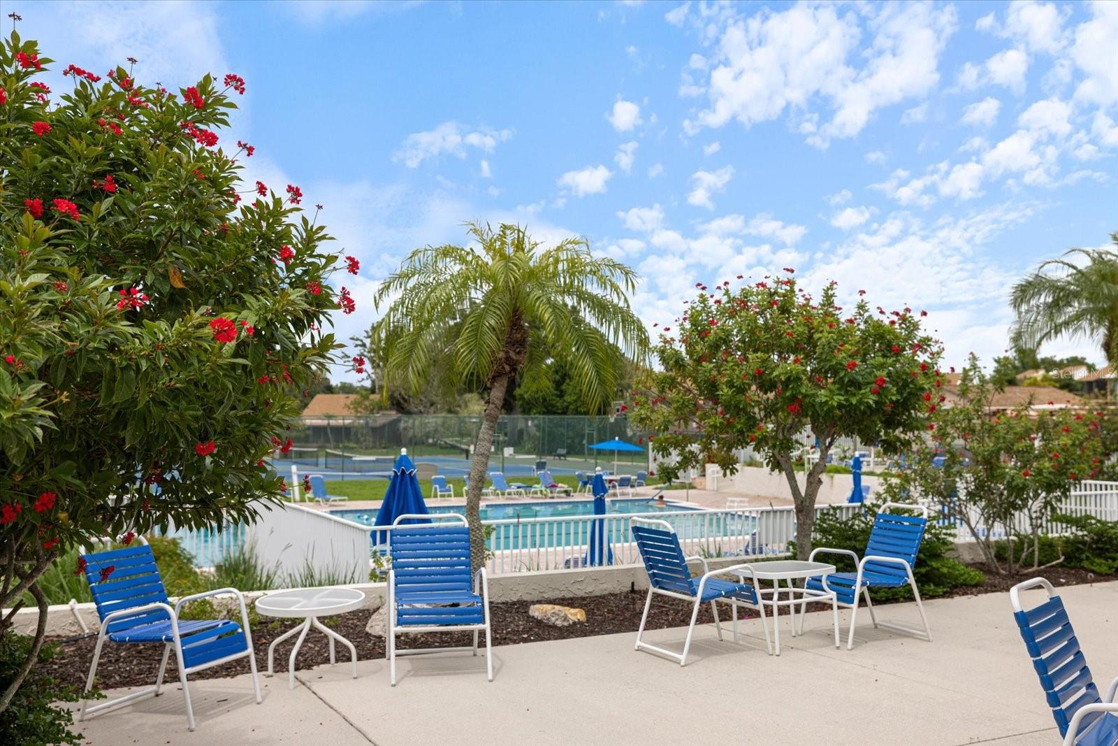 880 BIRD BAY DR ## 105, VENICE, FL, 34285