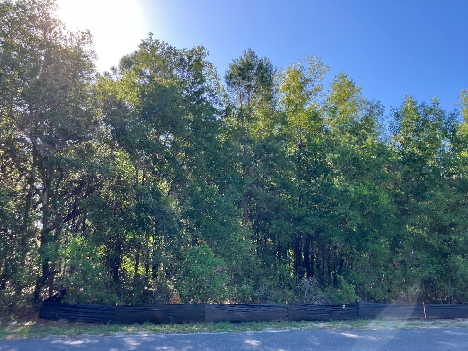 8227 N GALENA AVE, CITRUS SPRINGS, FL, 34434