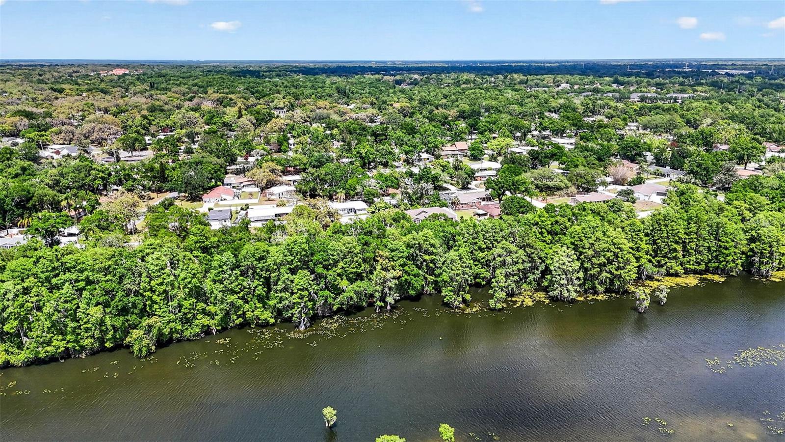 515 BROXBURN AVE, TEMPLE TERRACE, FL, 33617