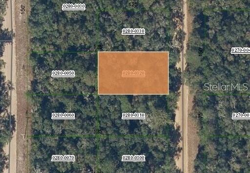 BRETT AVE, INTERLACHEN, FL, 32148