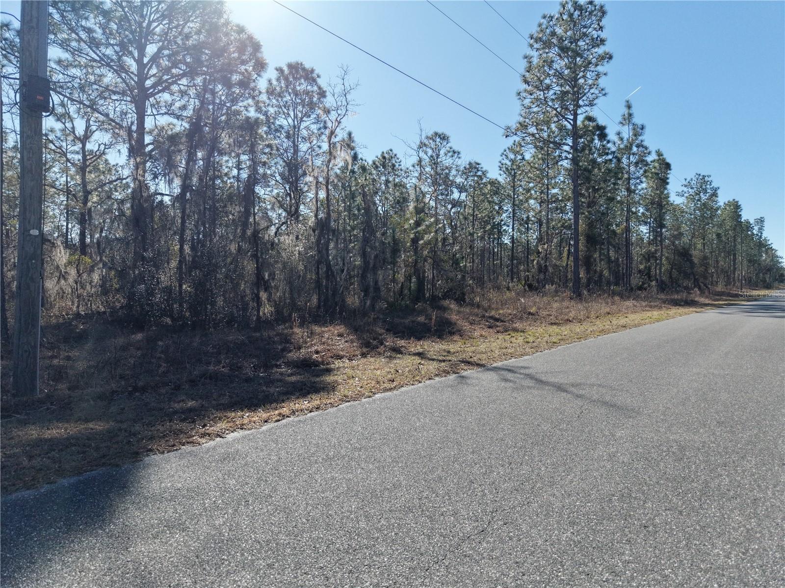 SE 126TH TER, DUNNELLON, FL, 34431