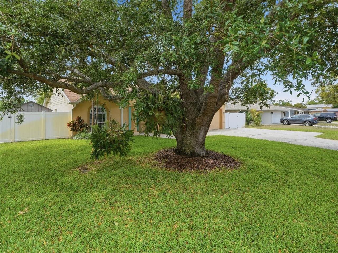 2310 39TH AVE N, ST PETERSBURG, FL, 33714