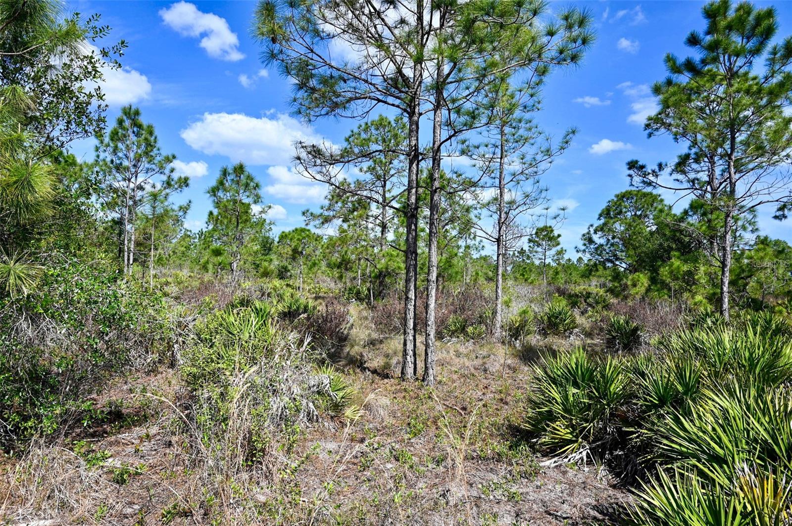 47200 BERMONT RD, PUNTA GORDA, FL, 33982