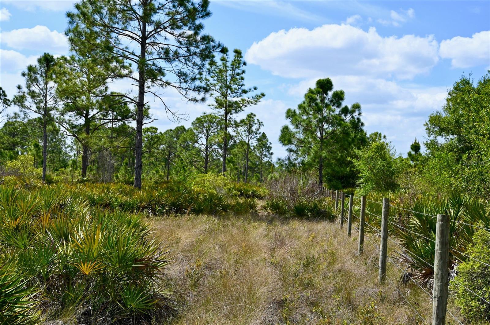 47200 BERMONT RD, PUNTA GORDA, FL, 33982