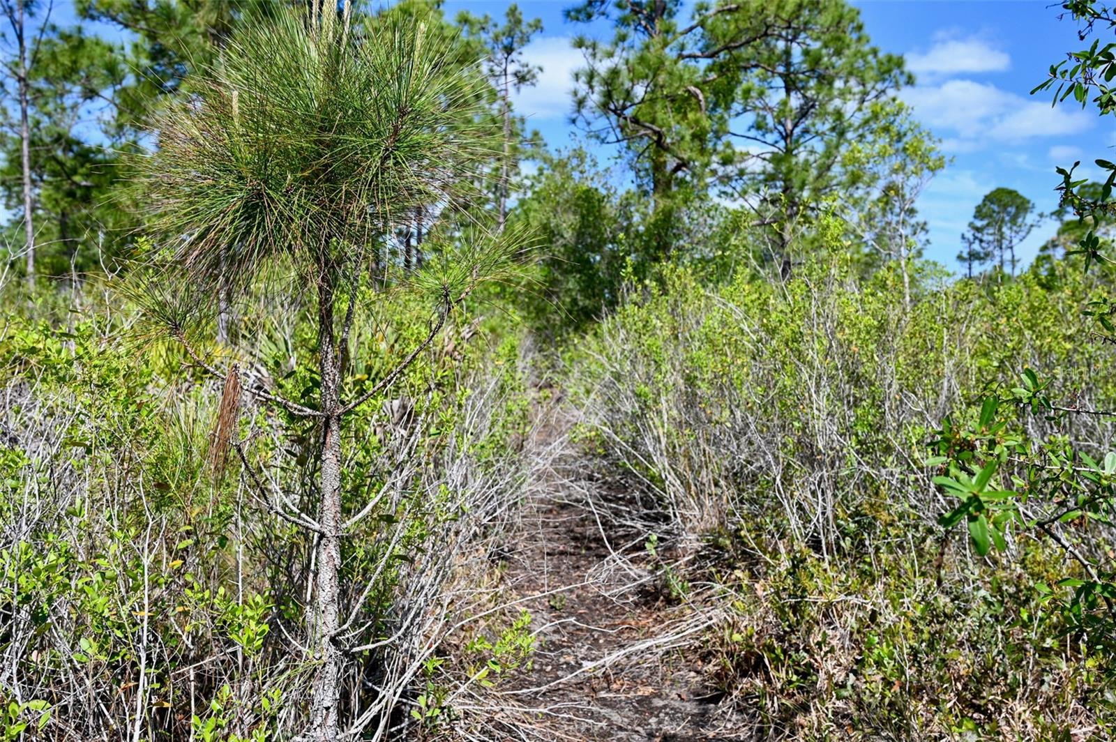 47200 BERMONT RD, PUNTA GORDA, FL, 33982