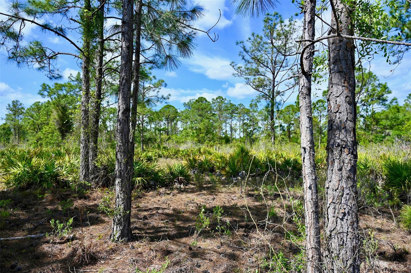 47200 BERMONT RD, PUNTA GORDA, FL, 33982