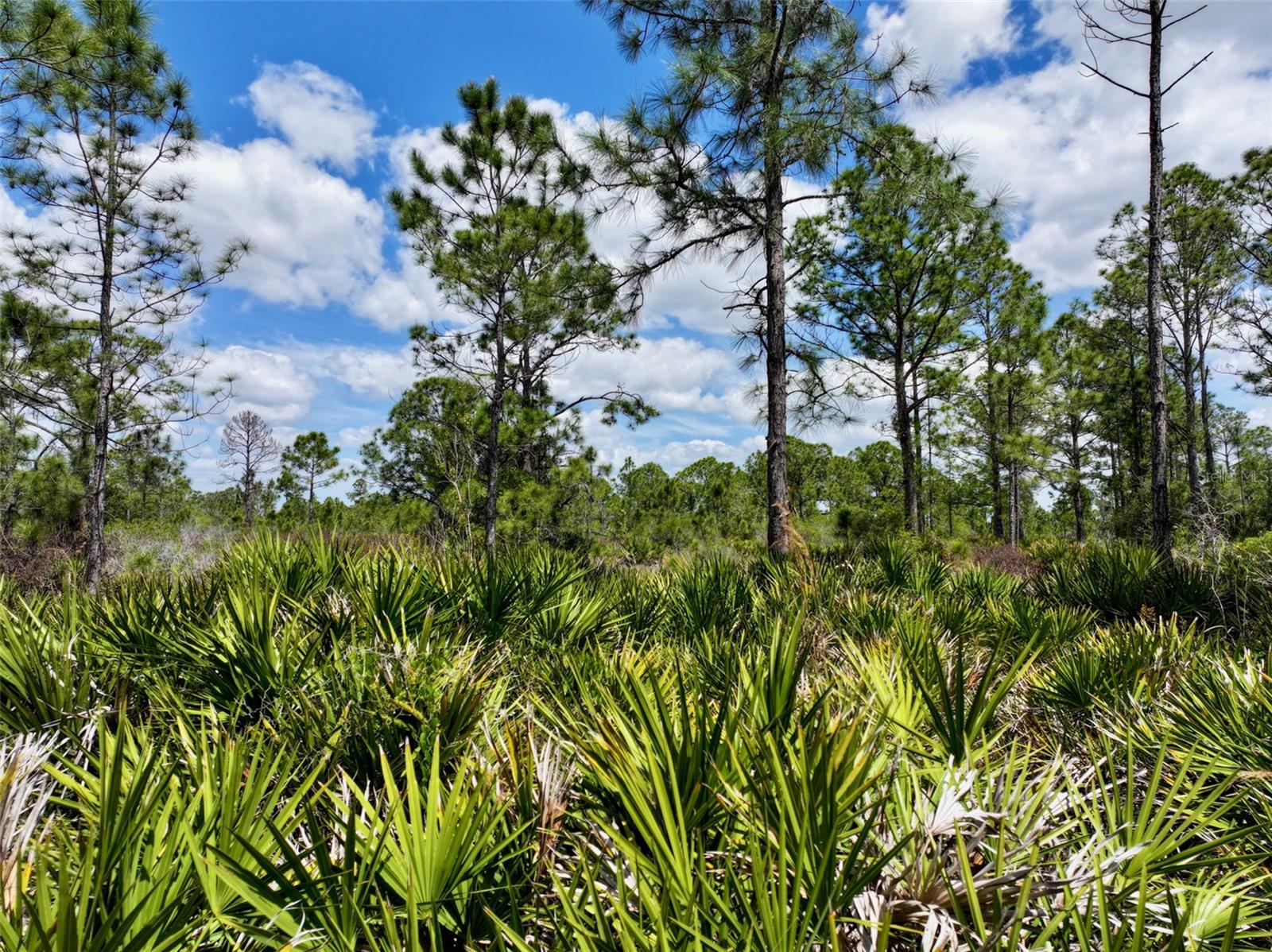 47200 BERMONT RD, PUNTA GORDA, FL, 33982