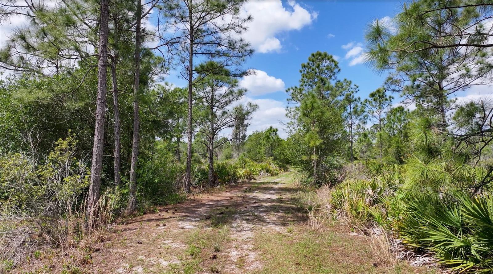 47200 BERMONT RD, PUNTA GORDA, FL, 33982