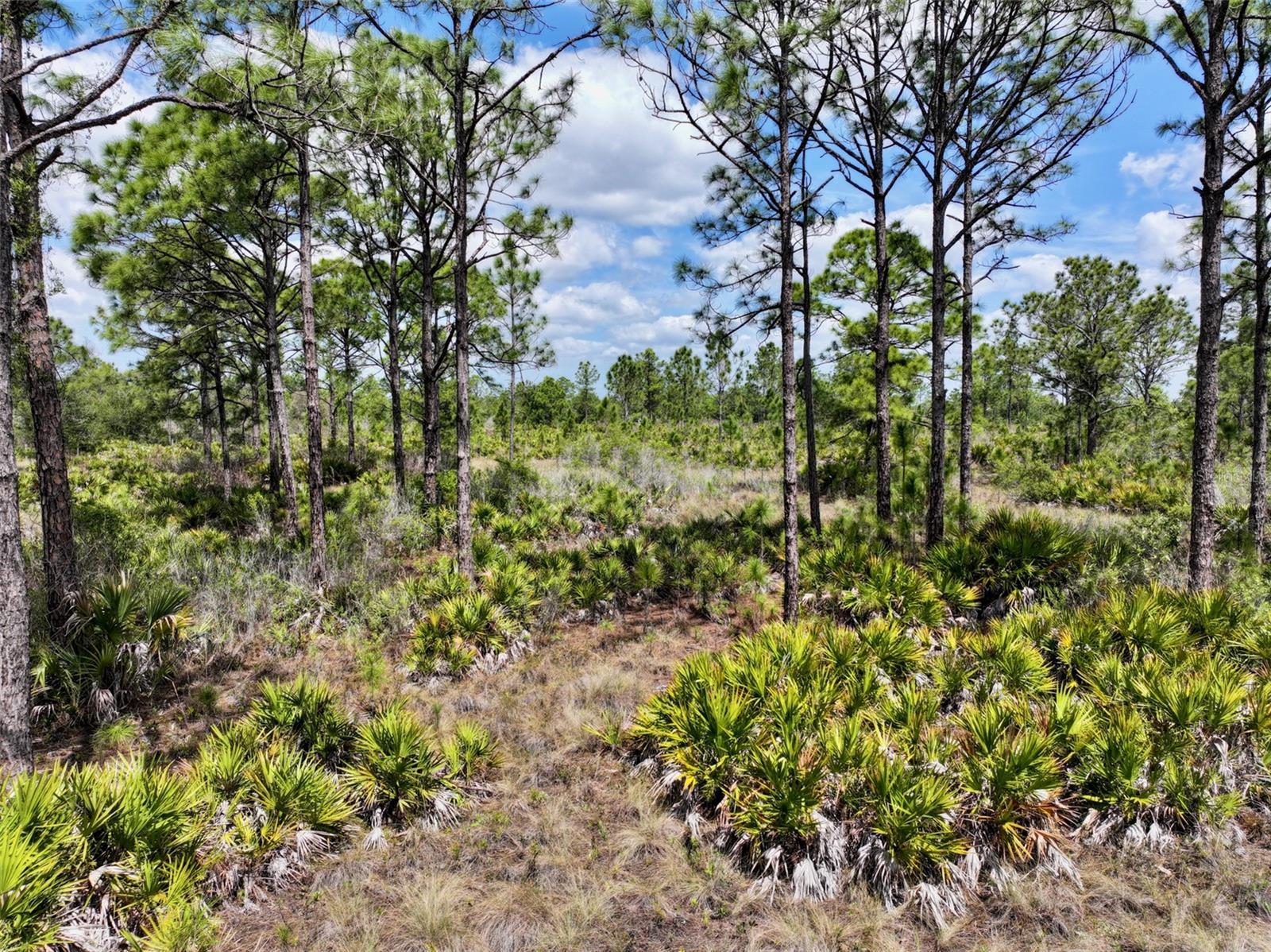 47200 BERMONT RD, PUNTA GORDA, FL, 33982