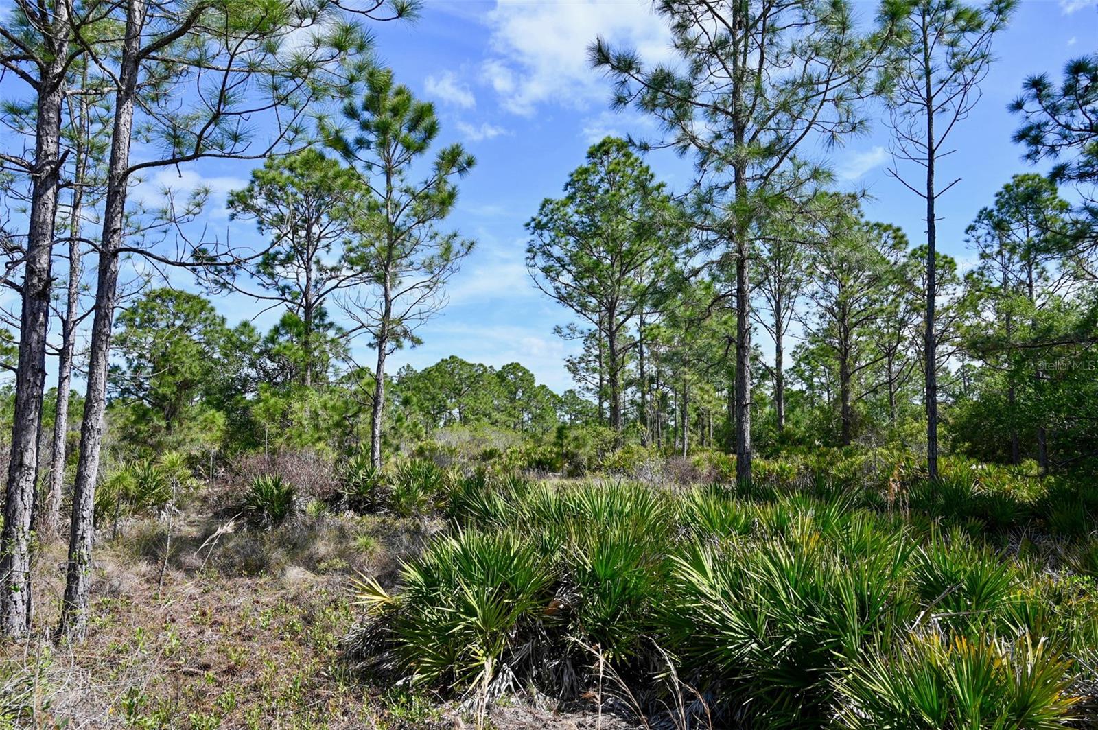 47200 BERMONT RD, PUNTA GORDA, FL, 33982