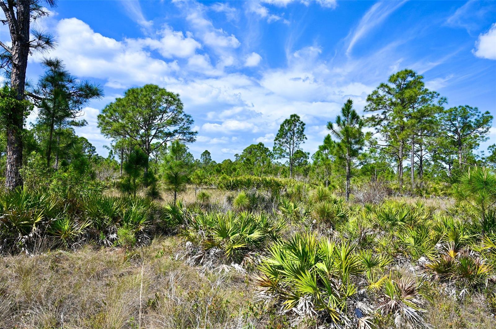 47200 BERMONT RD, PUNTA GORDA, FL, 33982