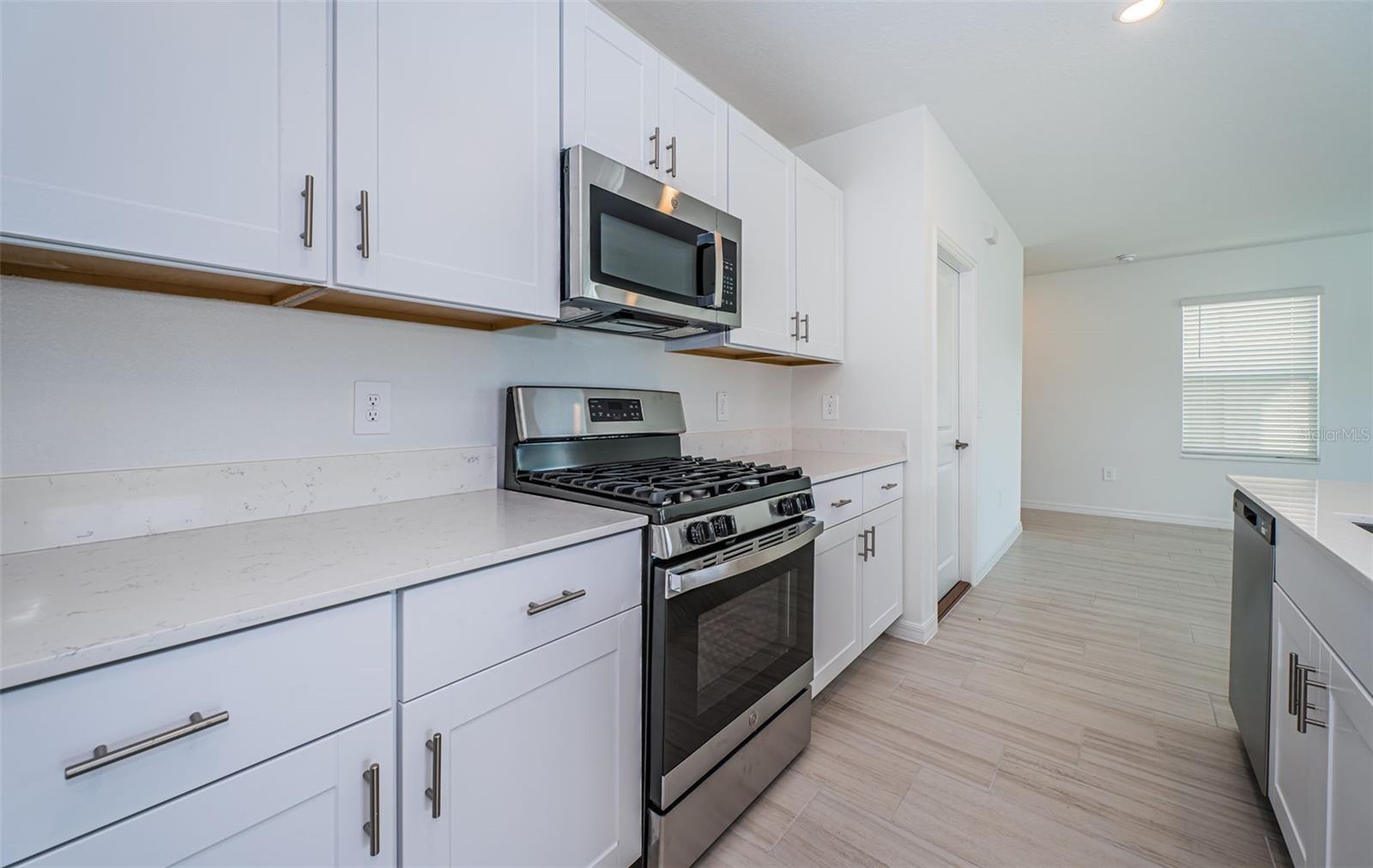 22310 BLAZING STAR RUN, LAND O LAKES, FL, 34637