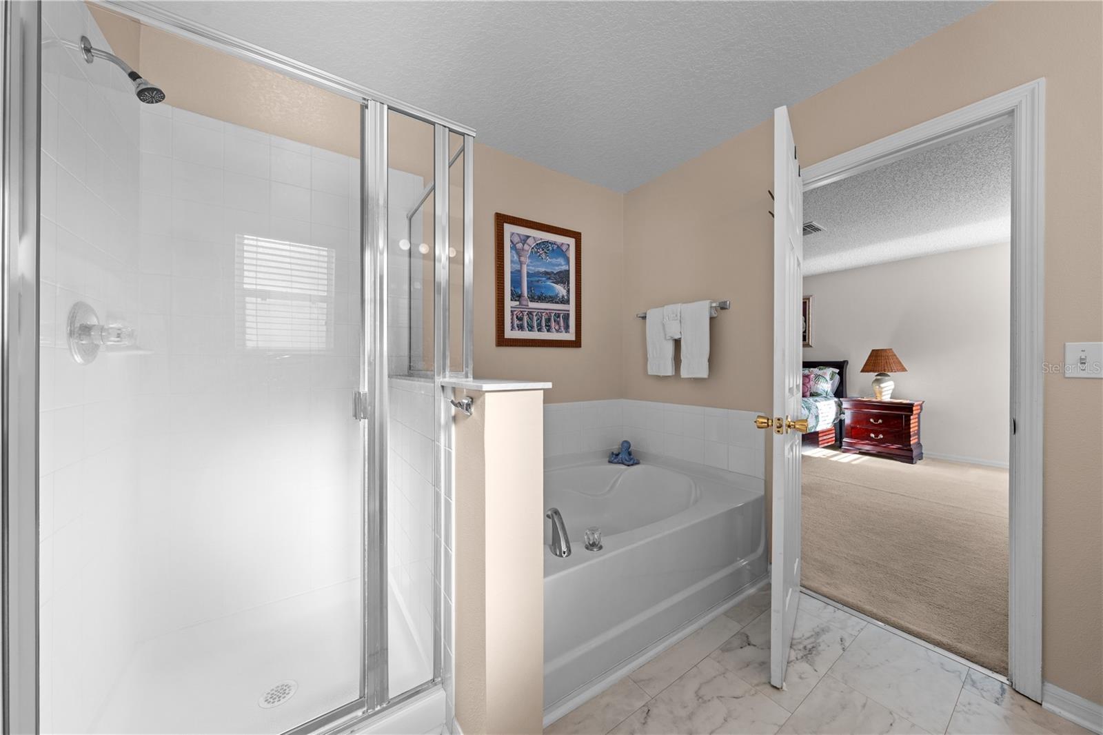 16641 SUNRISE VISTA DR, CLERMONT, FL, 34714