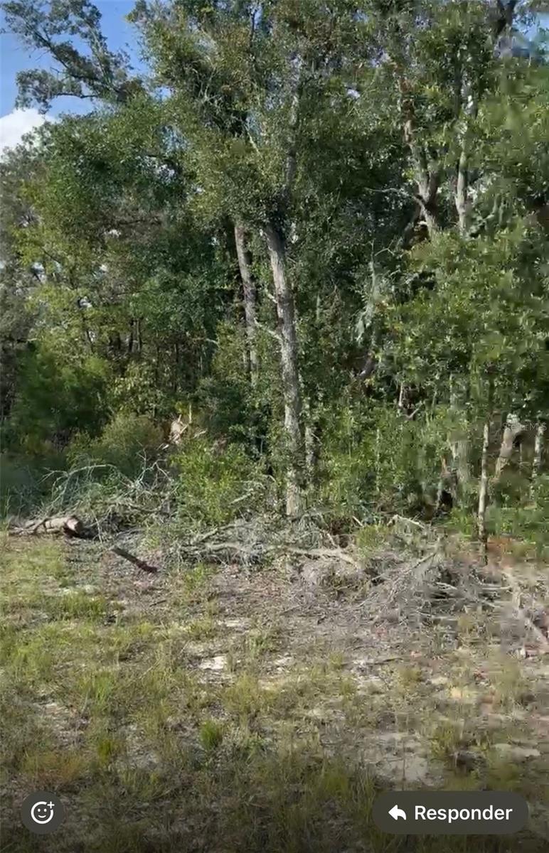 NE 97TH CT, BRONSON, FL, 32621