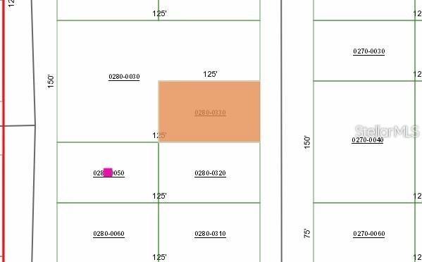 BRETT AVENUE, INTERLACHEN, FL, 32148