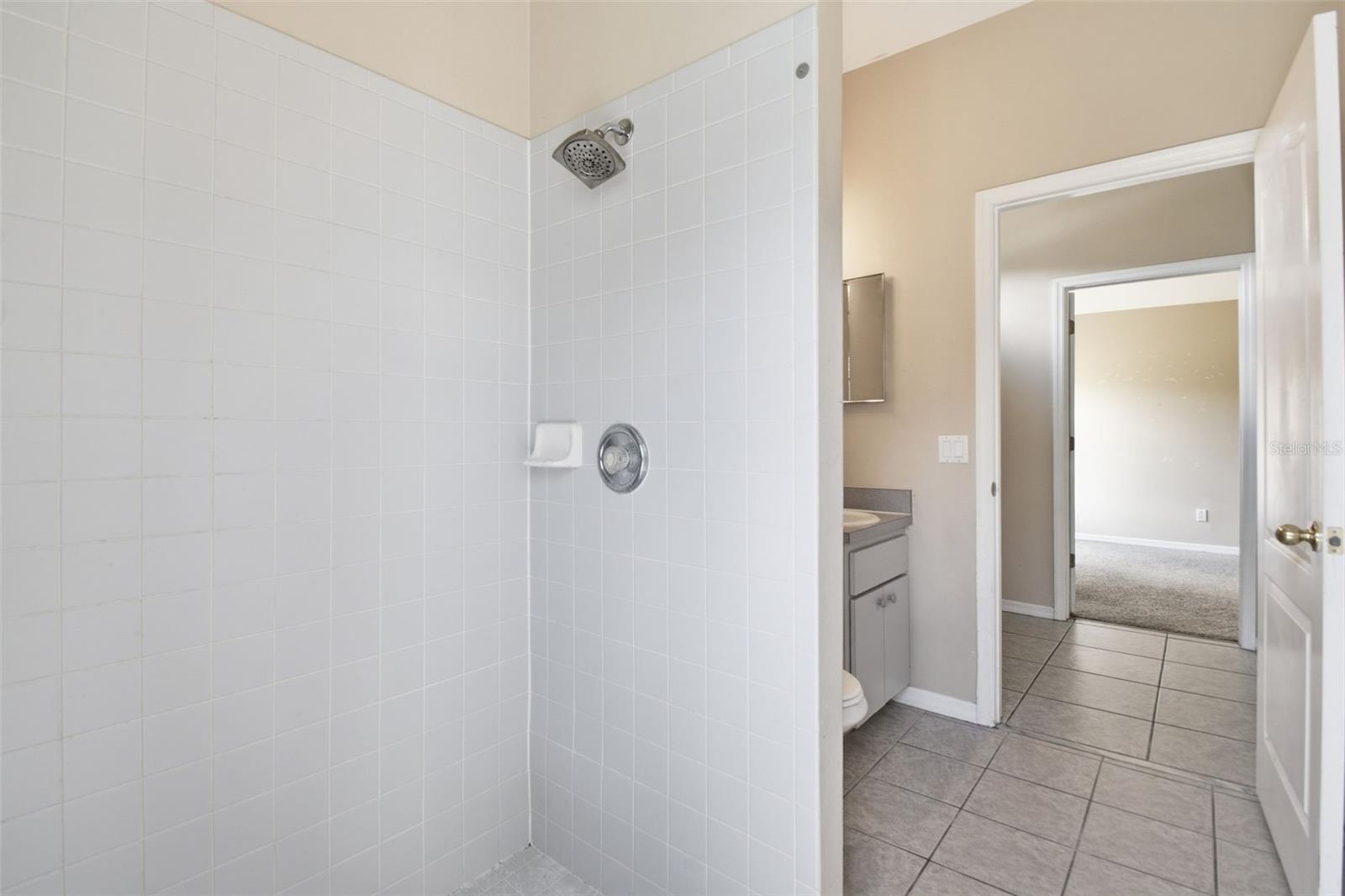 16825 HARRIERRIDGE PL, LITHIA, FL, 33547
