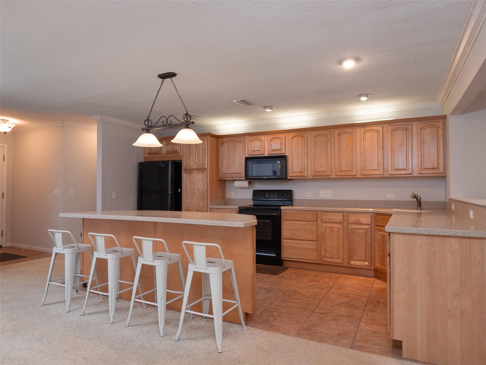 8491 LILLY LAKE RD, MELROSE, FL, 32666