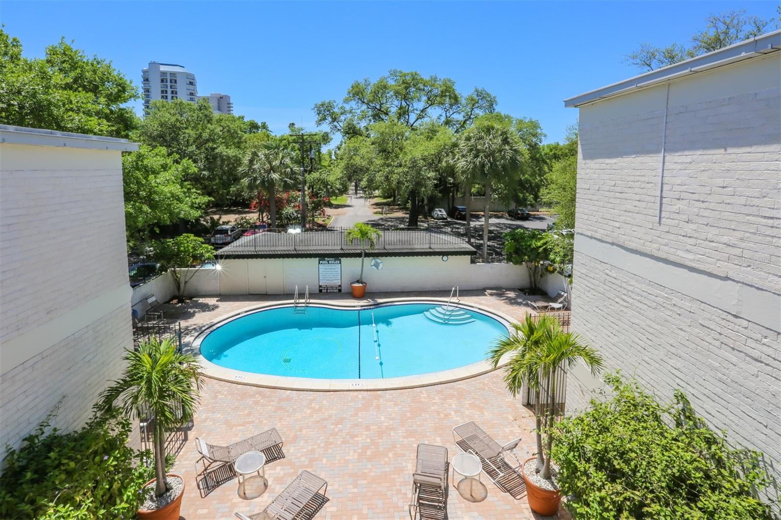 3325 BAYSHORE BLVD #E34, TAMPA, FL, 33629