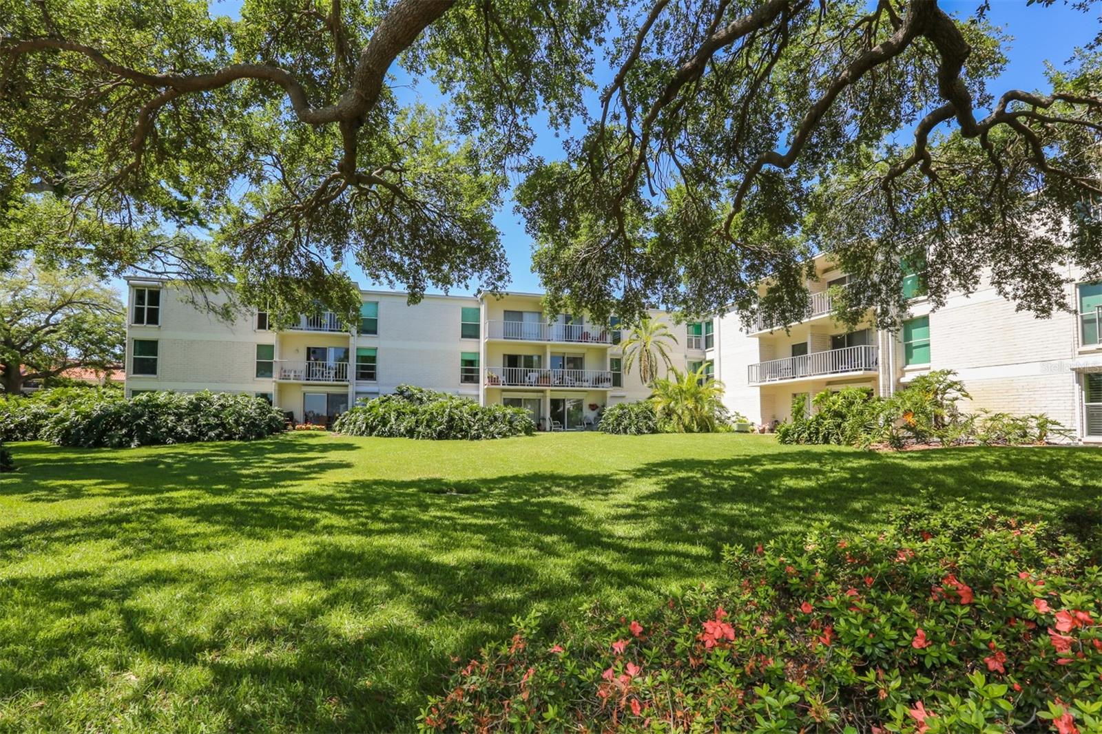 3325 BAYSHORE BLVD #E34, TAMPA, FL, 33629