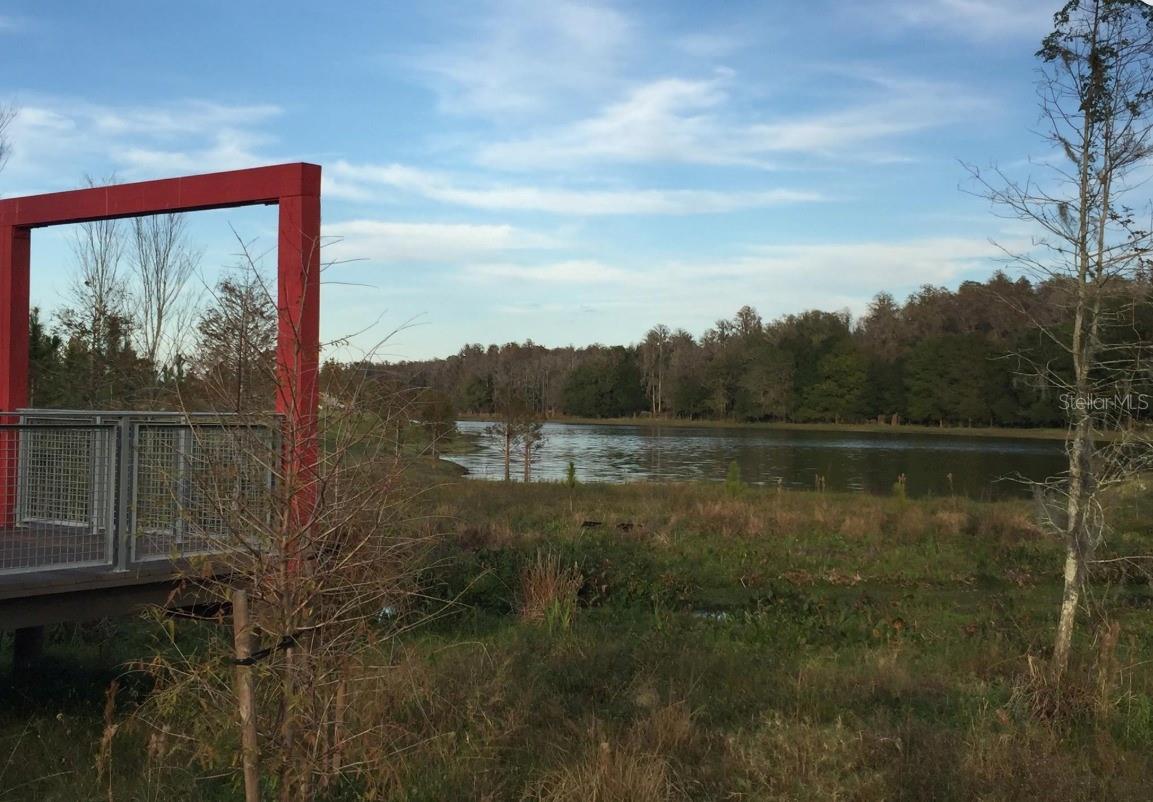 13539 STANSIL AVE, ODESSA, FL, 33556