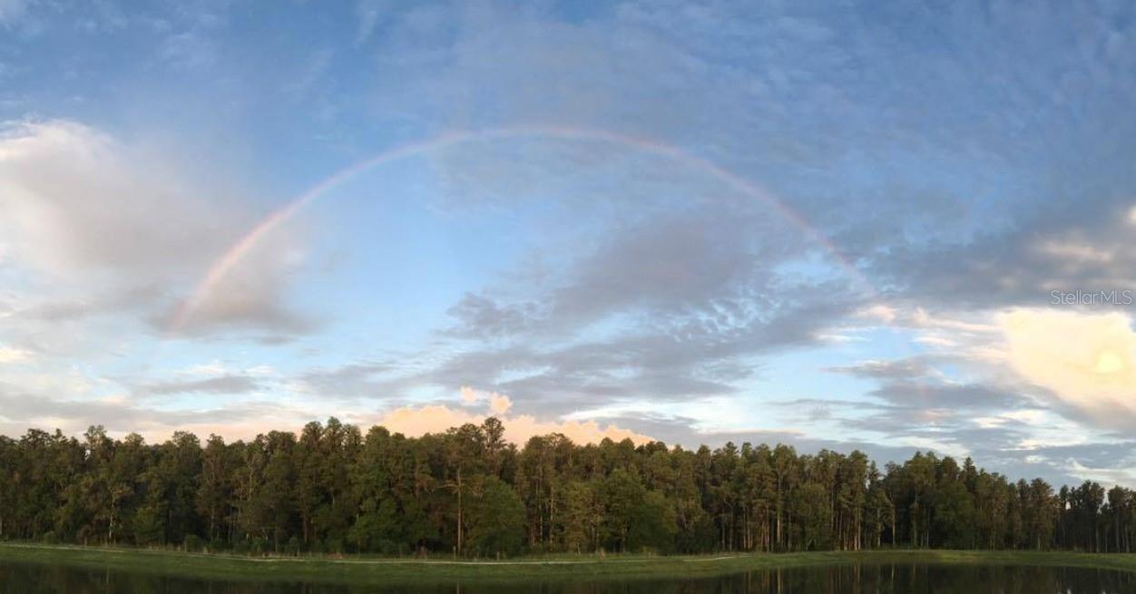 13539 STANSIL AVE, ODESSA, FL, 33556