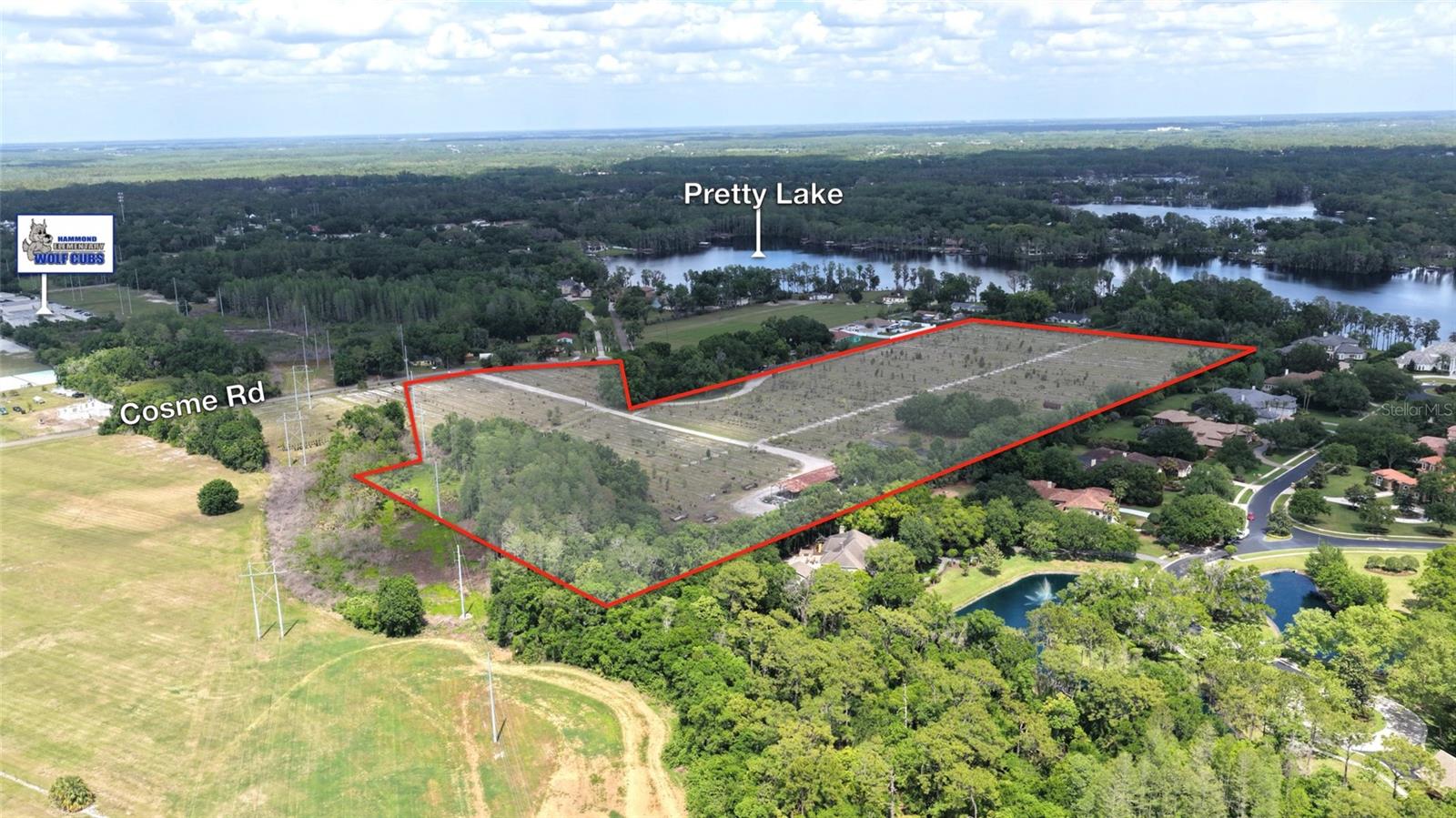 8028 COSME RD, ODESSA, FL, 33556