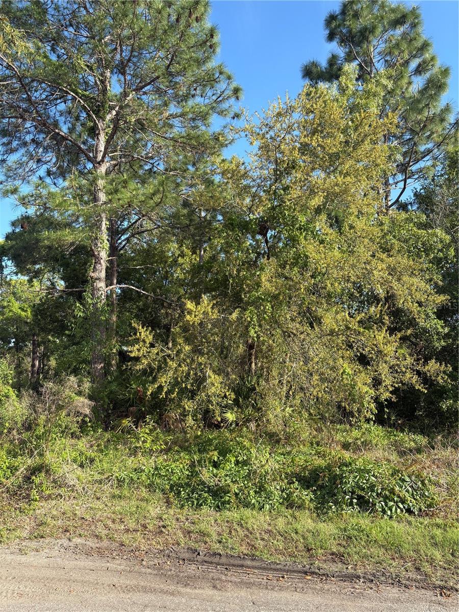 21 SWEETBAY CT, HOMOSASSA, FL, 34446